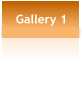 Gallery 1