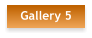 Gallery 5