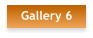 Gallery 6