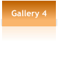 Gallery 4