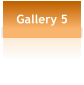 Gallery 5